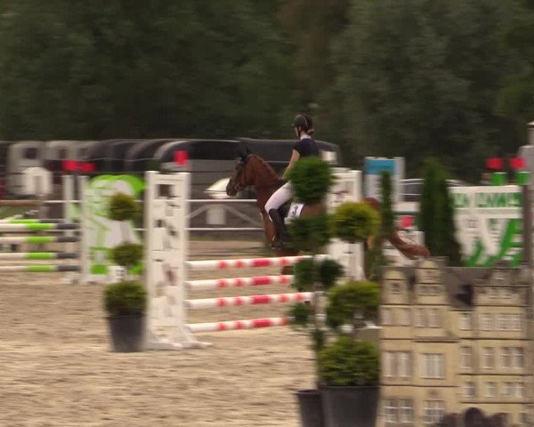 Reitturnier Detmold-Remmighausen 2018