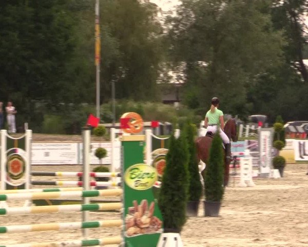 Reitturnier Detmold-Remmighausen 2018