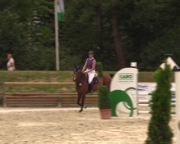 Reitturnier Detmold-Remmighausen 2018