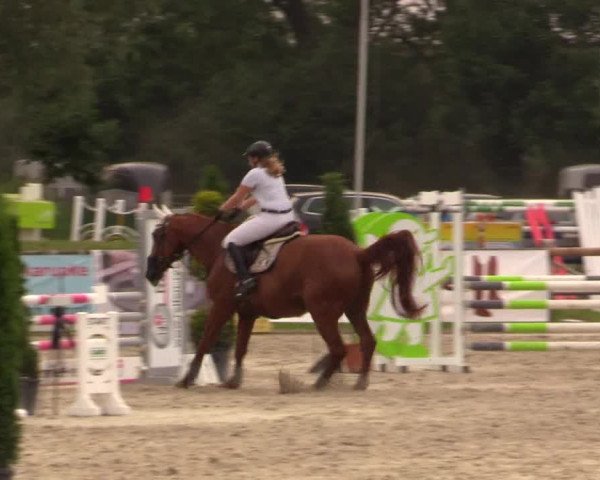 Reitturnier Detmold-Remmighausen 2018