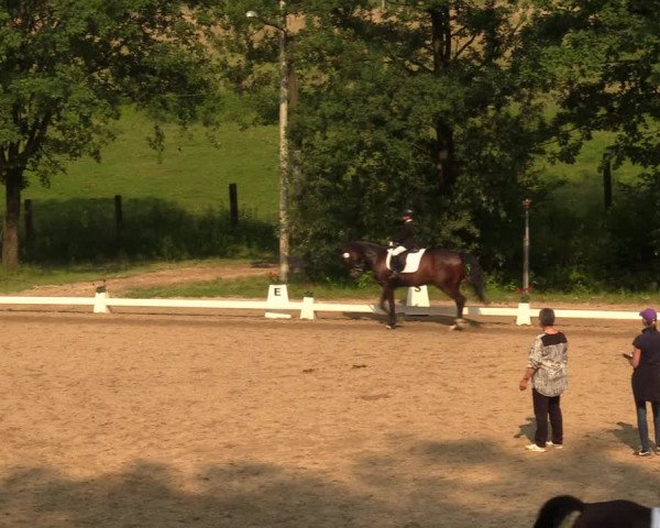 Reitturnier Erkrath - Uhlenhof 2018