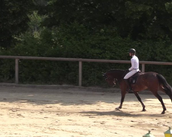 Reitturnier Erkrath - Uhlenhof 2018