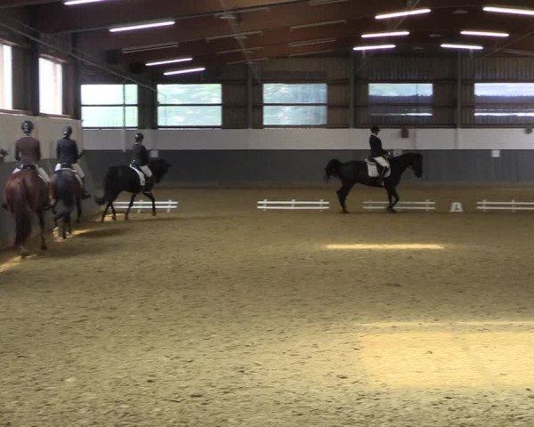 Reitturnier Dortmund-Asseln 2018