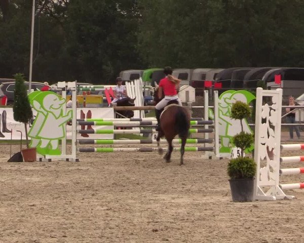 Reitturnier Detmold-Remmighausen 2018