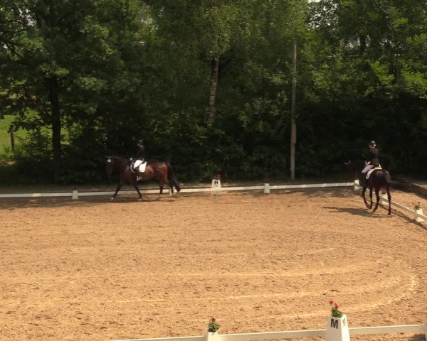 Reitturnier Erkrath - Uhlenhof 2018