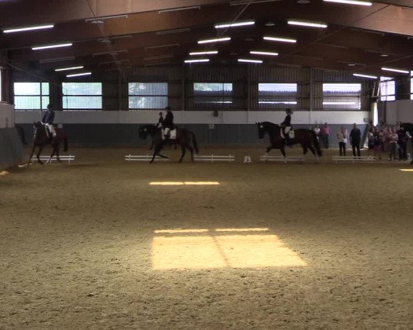 Reitturnier Dortmund-Asseln 2018
