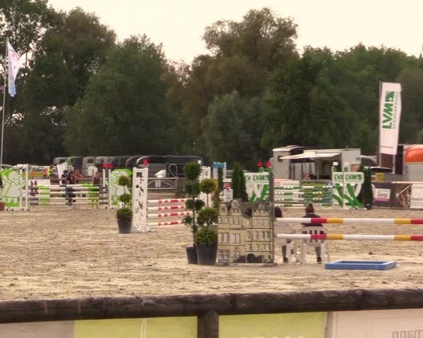 Reitturnier Detmold-Remmighausen 2018