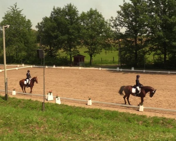 Reitturnier Erkrath - Uhlenhof 2018