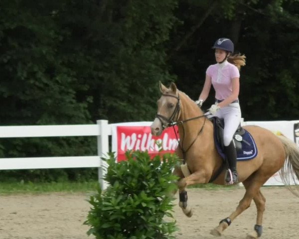 Reitturnier Isny-Rohrdorf 2018