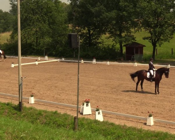 Reitturnier Erkrath - Uhlenhof 2018