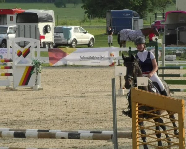 Reitturnier Isny-Rohrdorf 2018
