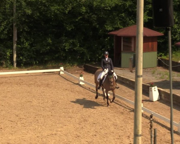 Reitturnier Erkrath - Uhlenhof 2018