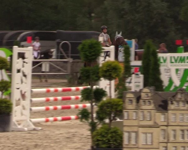 Reitturnier Detmold-Remmighausen 2018