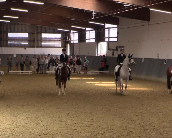 Reitturnier Dortmund-Asseln 2018