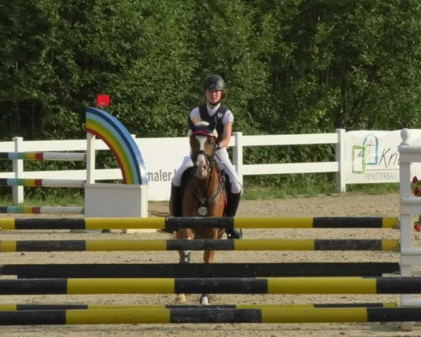 Reitturnier Isny-Rohrdorf 2018