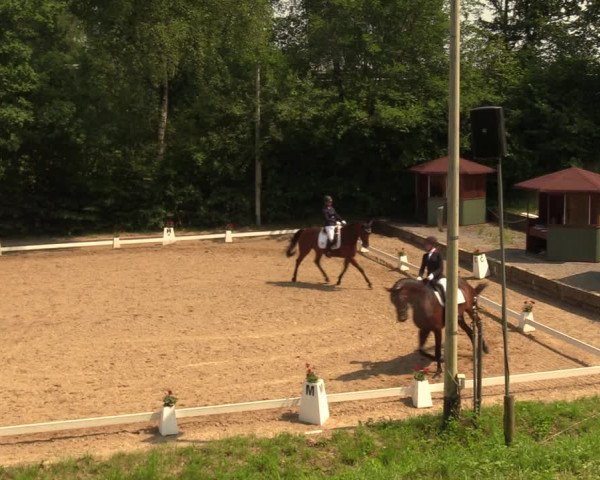 Reitturnier Erkrath - Uhlenhof 2018