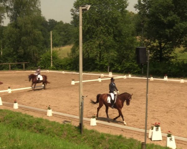 Reitturnier Erkrath - Uhlenhof 2018