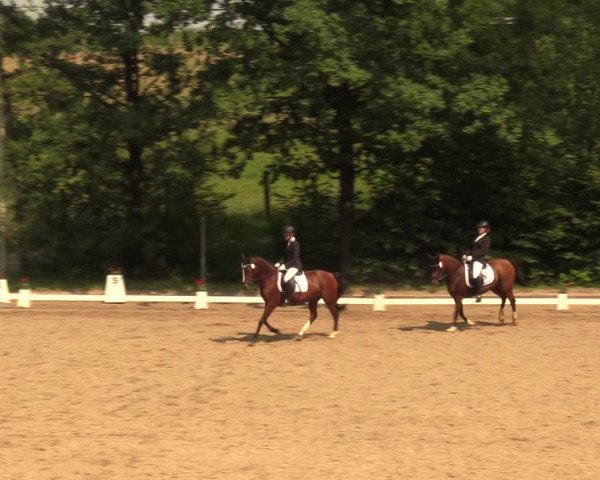 Reitturnier Erkrath - Uhlenhof 2018