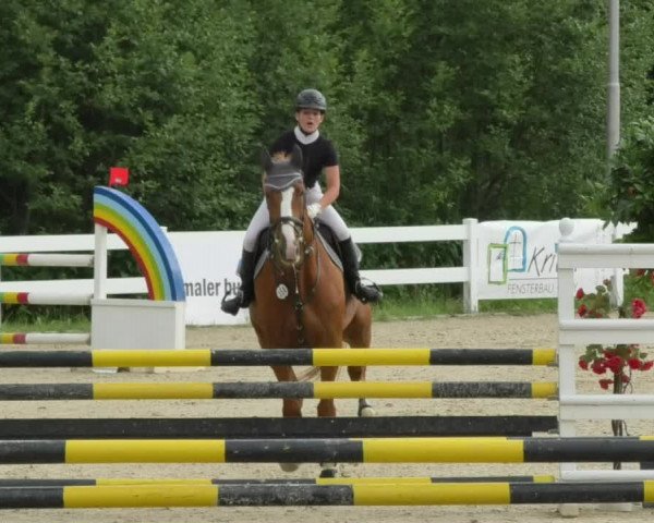 Reitturnier Isny-Rohrdorf 2018