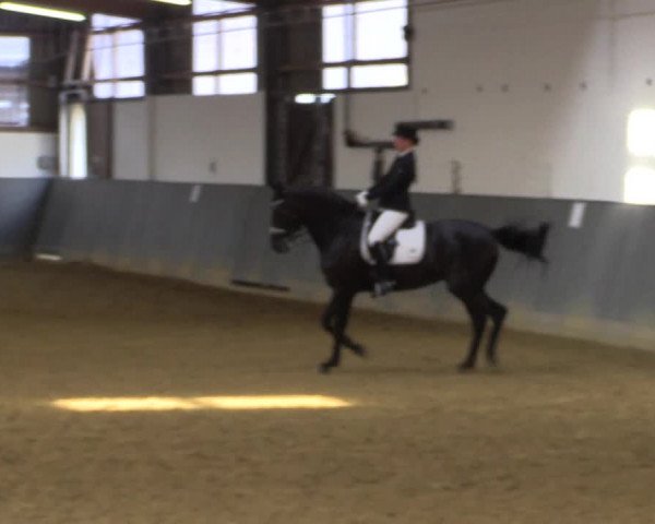 Reitturnier Dortmund-Asseln 2018