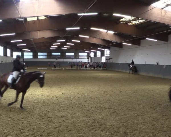Reitturnier Dortmund-Asseln 2018