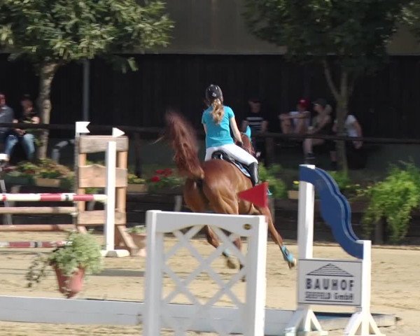 Reitturnier Schönfeld 2018