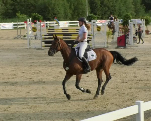 Reitturnier Isny-Rohrdorf 2018