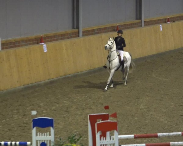 Reitturnier Osterholz-Scharmbeck 2021