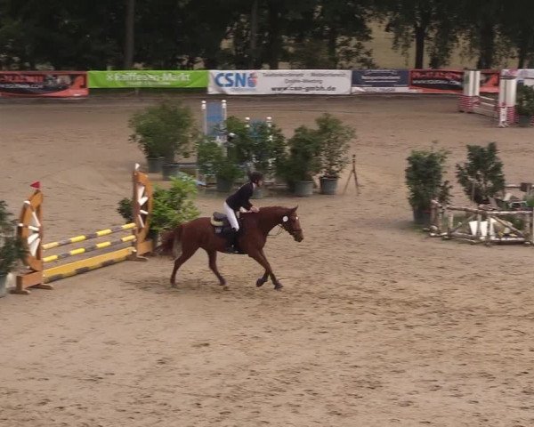 Reitturnier Erkrath - Uhlenhof 2018