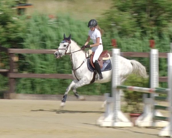 Reitturnier Schönfeld 2018