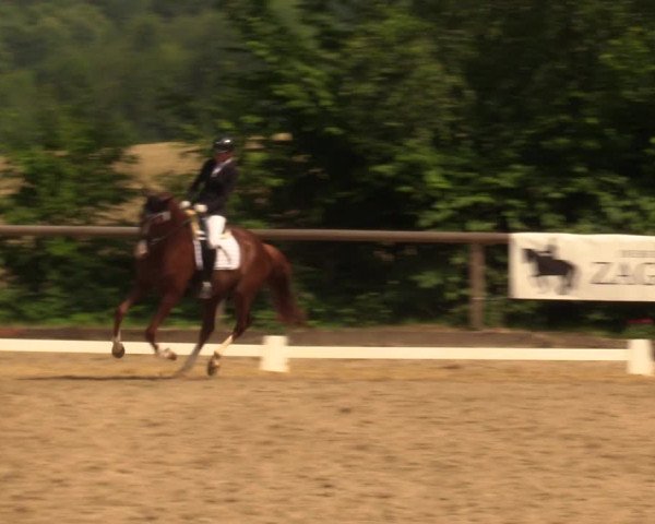 Reitturnier Erkrath - Uhlenhof 2018