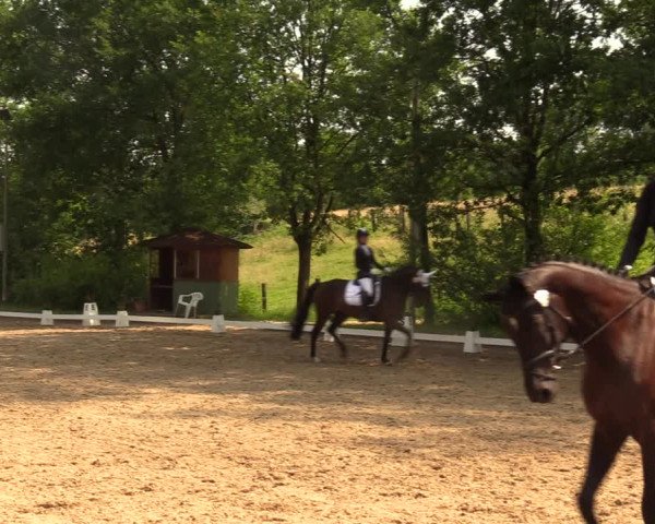 Reitturnier Erkrath - Uhlenhof 2018