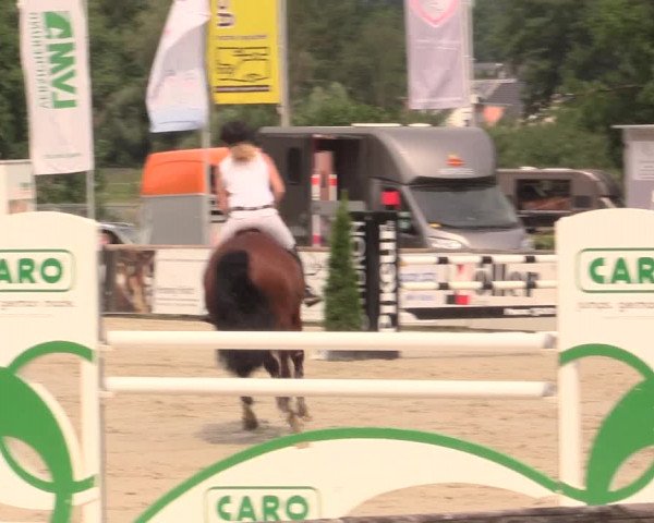 Reitturnier Detmold-Remmighausen 2018