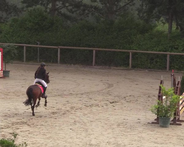 Reitturnier Erkrath - Uhlenhof 2018