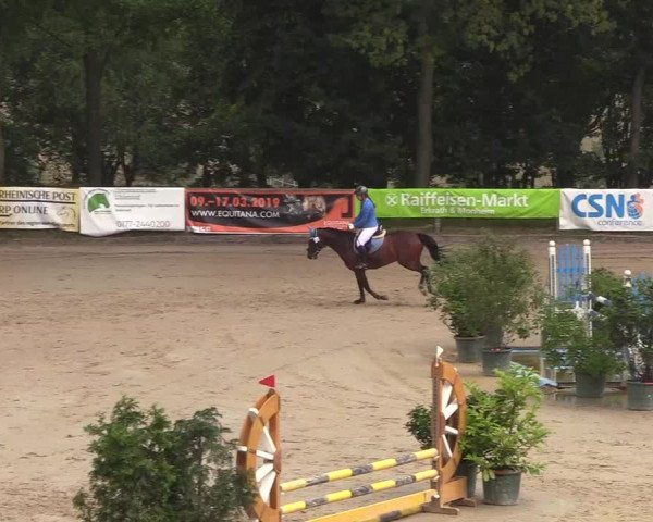 Reitturnier Erkrath - Uhlenhof 2018
