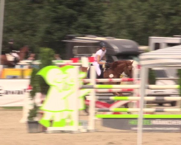 Reitturnier Detmold-Remmighausen 2018