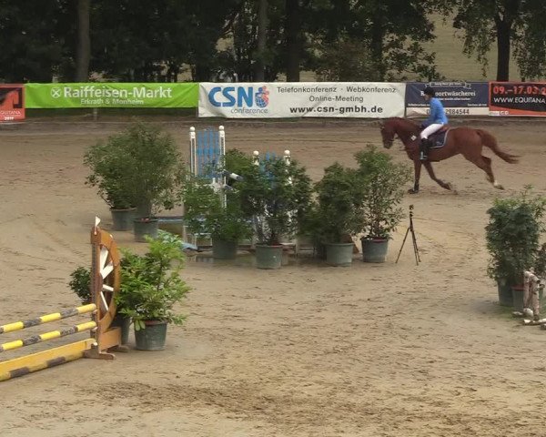 Reitturnier Erkrath - Uhlenhof 2018