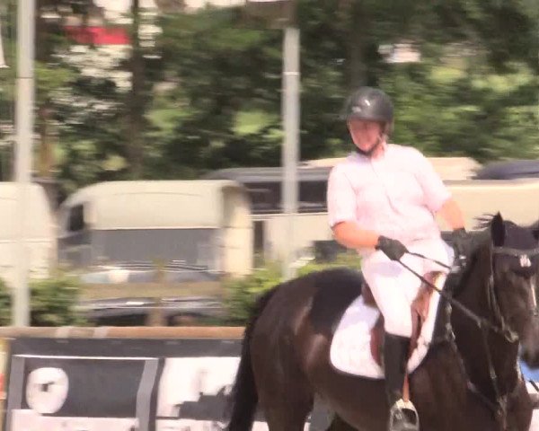 Reitturnier Detmold-Remmighausen 2018