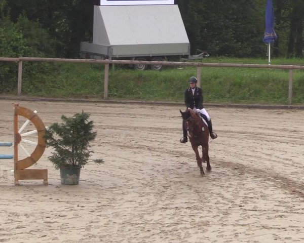 Reitturnier Erkrath - Uhlenhof 2018