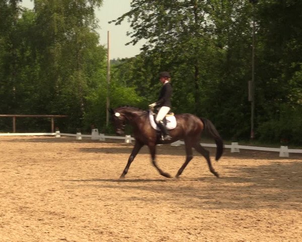 Reitturnier Erkrath - Uhlenhof 2018