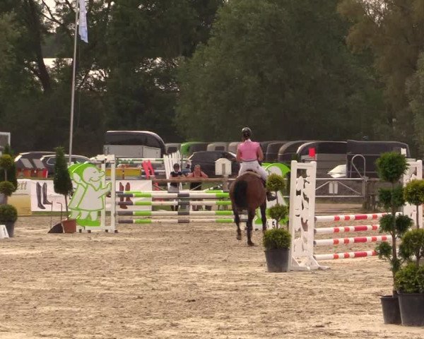 Reitturnier Detmold-Remmighausen 2018