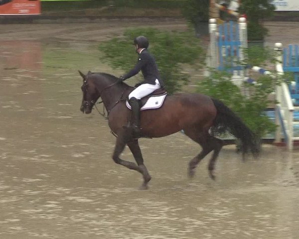 Reitturnier Erkrath - Uhlenhof 2018