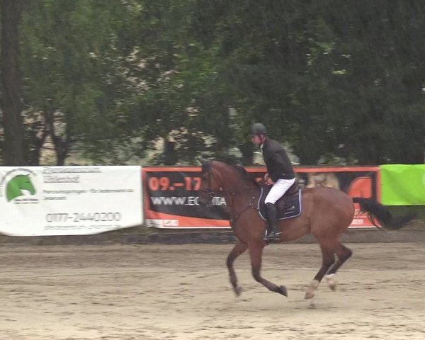 Reitturnier Erkrath - Uhlenhof 2018