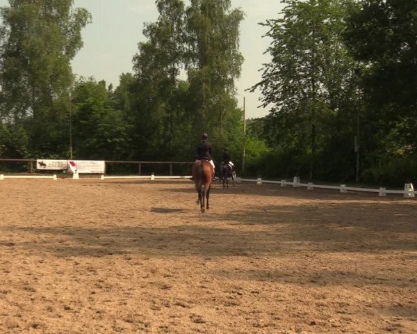 Reitturnier Erkrath - Uhlenhof 2018