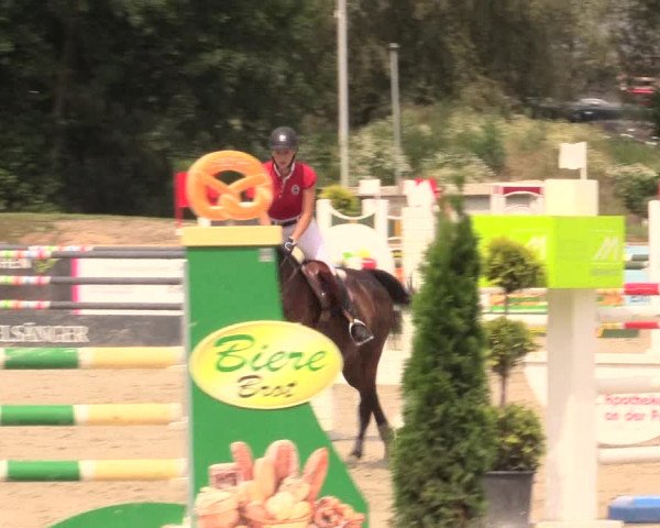 Reitturnier Detmold-Remmighausen 2018