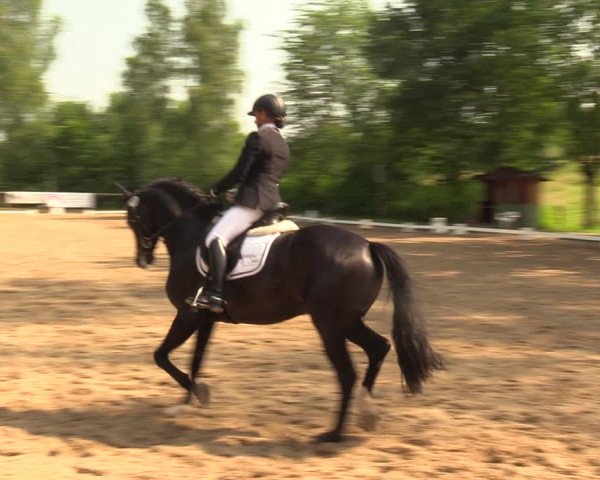 Reitturnier Erkrath - Uhlenhof 2018
