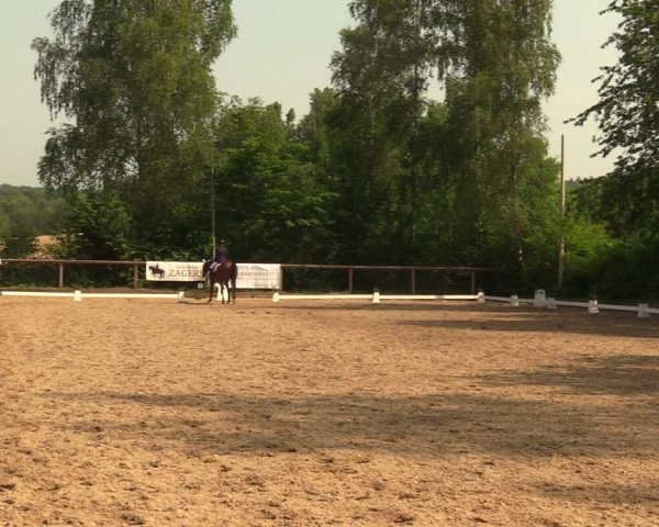Reitturnier Erkrath - Uhlenhof 2018