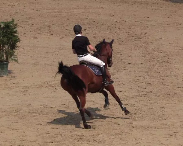Reitturnier Erkrath - Uhlenhof 2018