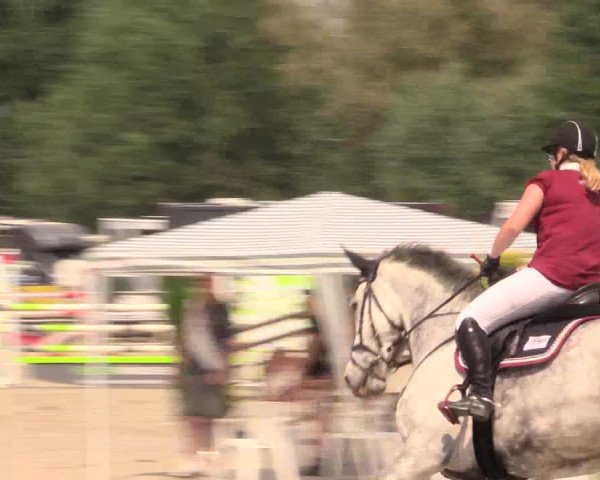 Reitturnier Detmold-Remmighausen 2018