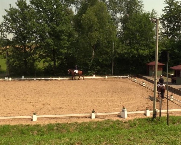 Reitturnier Erkrath - Uhlenhof 2018
